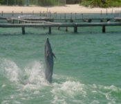 Cancun05 044